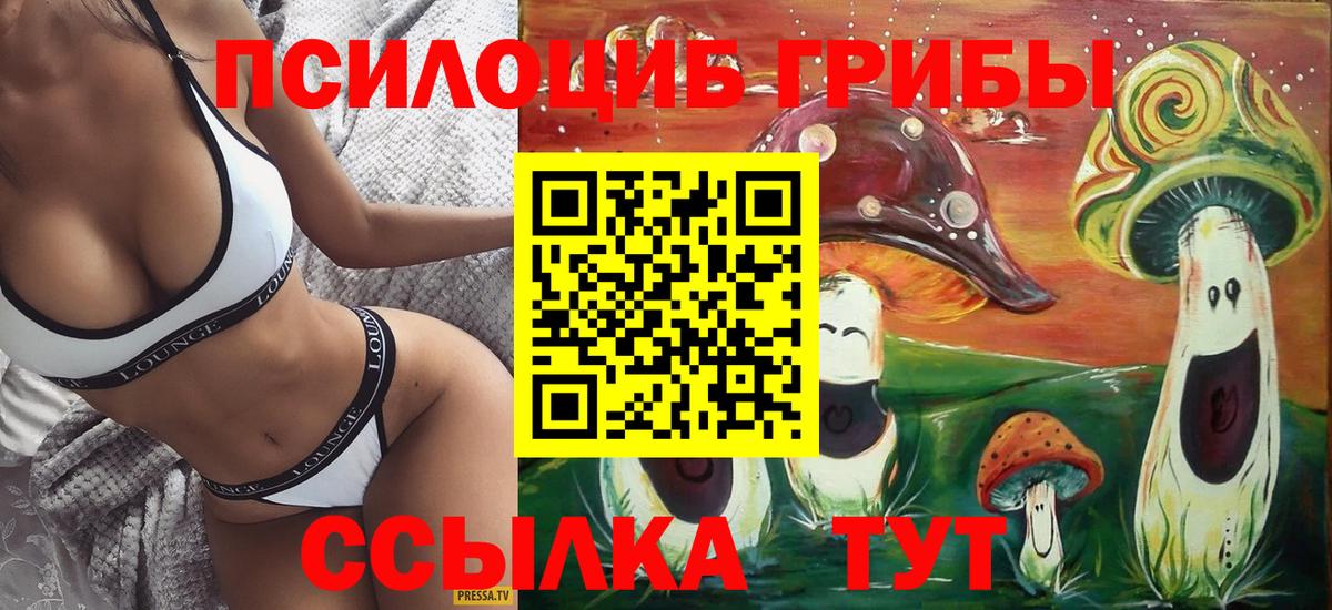 Галлюциногенные грибы Psilocybe Саратов