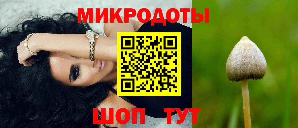 что такое наркотик  Псилоцибиновые грибы Psilocybine cubensis  Вход с VPN  Саратов 